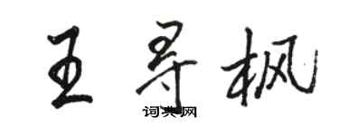 駱恆光王尋楓行書個性簽名怎么寫