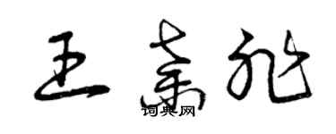 曾慶福王棄非草書個性簽名怎么寫