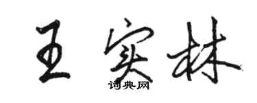 駱恆光王實林行書個性簽名怎么寫