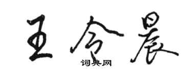 駱恆光王令晨行書個性簽名怎么寫