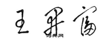 駱恆光王開富草書個性簽名怎么寫