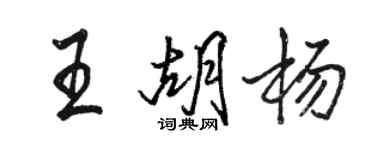 駱恆光王胡楊行書個性簽名怎么寫