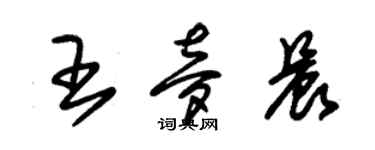 朱錫榮王夢晨草書個性簽名怎么寫