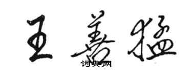 駱恆光王善猛行書個性簽名怎么寫