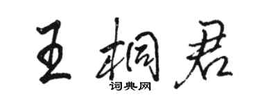 駱恆光王桐君行書個性簽名怎么寫