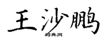 丁謙王沙鵬楷書個性簽名怎么寫