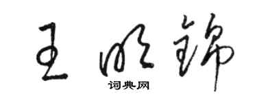 駱恆光王明錦草書個性簽名怎么寫