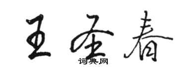 駱恆光王聖春行書個性簽名怎么寫