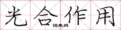 龐中華光合作用楷書怎么寫