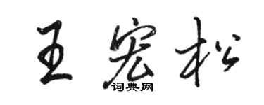 駱恆光王宏松行書個性簽名怎么寫