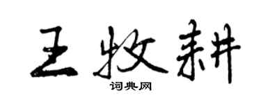 曾慶福王牧耕行書個性簽名怎么寫