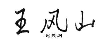 駱恆光王風山行書個性簽名怎么寫