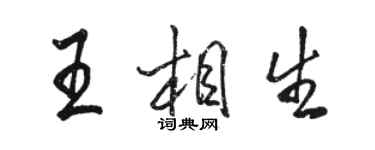 駱恆光王相生行書個性簽名怎么寫