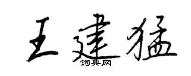 王正良王建猛行書個性簽名怎么寫