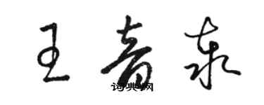 駱恆光王音泰草書個性簽名怎么寫