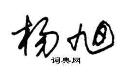 朱錫榮楊旭草書個性簽名怎么寫
