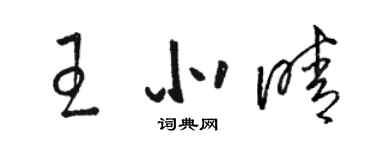 駱恆光王北晴草書個性簽名怎么寫