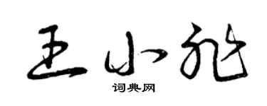 曾慶福王小非草書個性簽名怎么寫