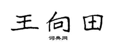 袁強王向田楷書個性簽名怎么寫