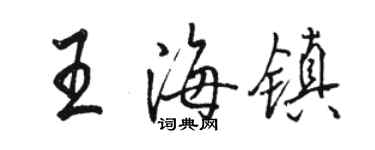 駱恆光王海鎮行書個性簽名怎么寫