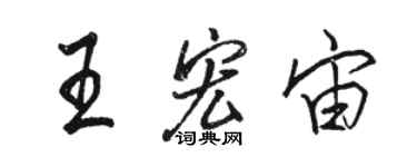 駱恆光王宏宙行書個性簽名怎么寫