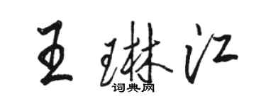 駱恆光王琳江行書個性簽名怎么寫