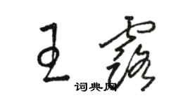 駱恆光王露草書個性簽名怎么寫