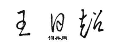 駱恆光王日超草書個性簽名怎么寫