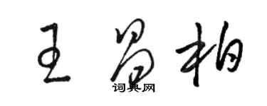 駱恆光王昌柏草書個性簽名怎么寫