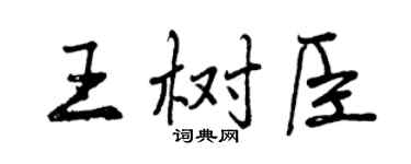 曾慶福王樹臣行書個性簽名怎么寫