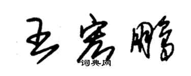 朱錫榮王宏鵬草書個性簽名怎么寫