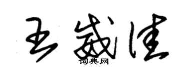 朱錫榮王威佳草書個性簽名怎么寫