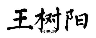 翁闓運王樹陽楷書個性簽名怎么寫