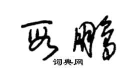 朱錫榮段鵬草書個性簽名怎么寫