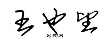 朱錫榮王也望草書個性簽名怎么寫