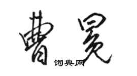 駱恆光曹冕行書個性簽名怎么寫