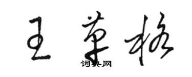 駱恆光王革格草書個性簽名怎么寫