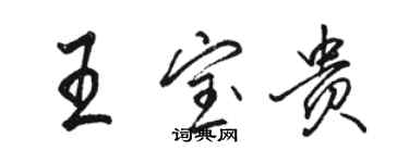 駱恆光王寶貴行書個性簽名怎么寫