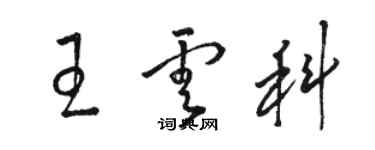 駱恆光王雲科草書個性簽名怎么寫