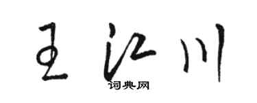 駱恆光王江川草書個性簽名怎么寫
