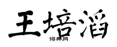 翁闓運王培滔楷書個性簽名怎么寫