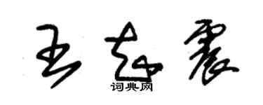 朱錫榮王知震草書個性簽名怎么寫