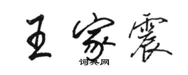 駱恆光王家震行書個性簽名怎么寫