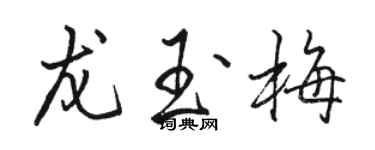 駱恆光龍玉梅行書個性簽名怎么寫