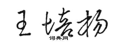 駱恆光王培楊草書個性簽名怎么寫