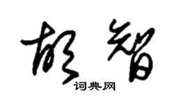 朱錫榮胡智草書個性簽名怎么寫