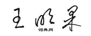 駱恆光王明果草書個性簽名怎么寫