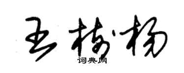 朱錫榮王樹楊草書個性簽名怎么寫
