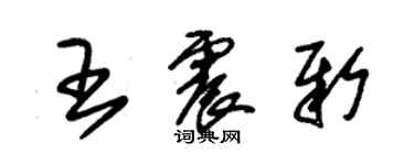 朱錫榮王震新草書個性簽名怎么寫