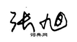 朱錫榮張旭草書個性簽名怎么寫